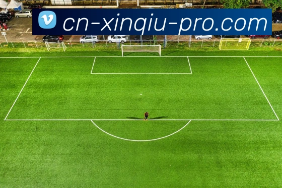 新球体育品牌故事